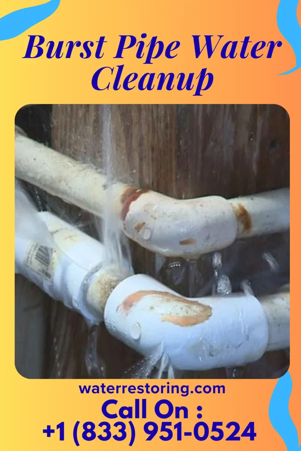 Burst Pipe Water Cleanup in Halawa, HI
