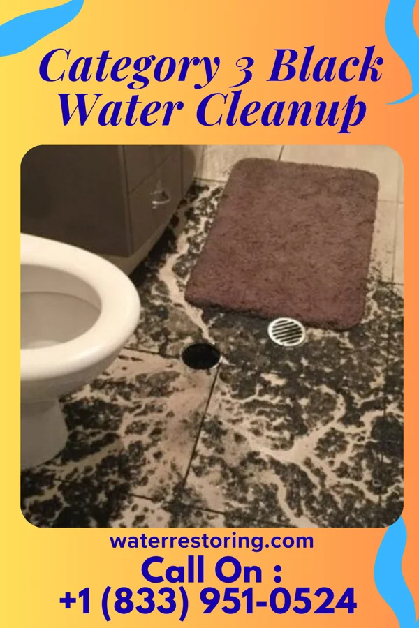 Category 3 Black Water Cleanup in Halawa, HI