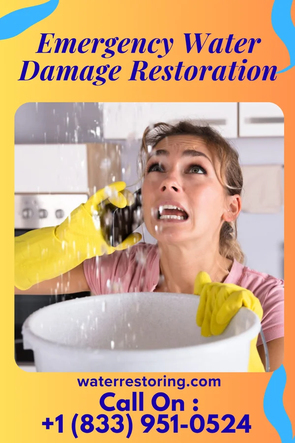 Emergency Water Damage Restoration in Halawa, HI