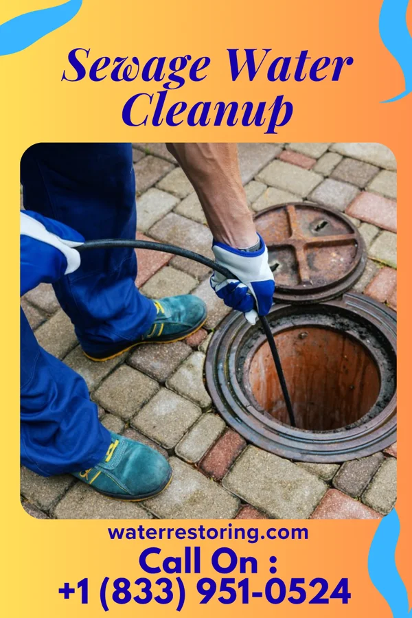 Sewage Water Cleanup in Halawa, HI